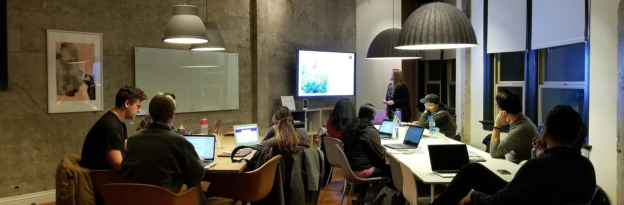 (Immagine decorativa)