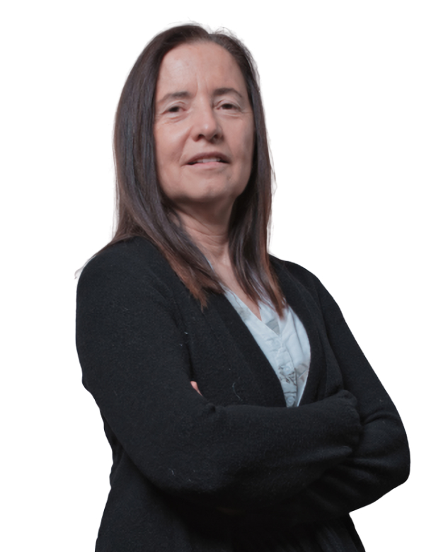 (Immagine decorativa)