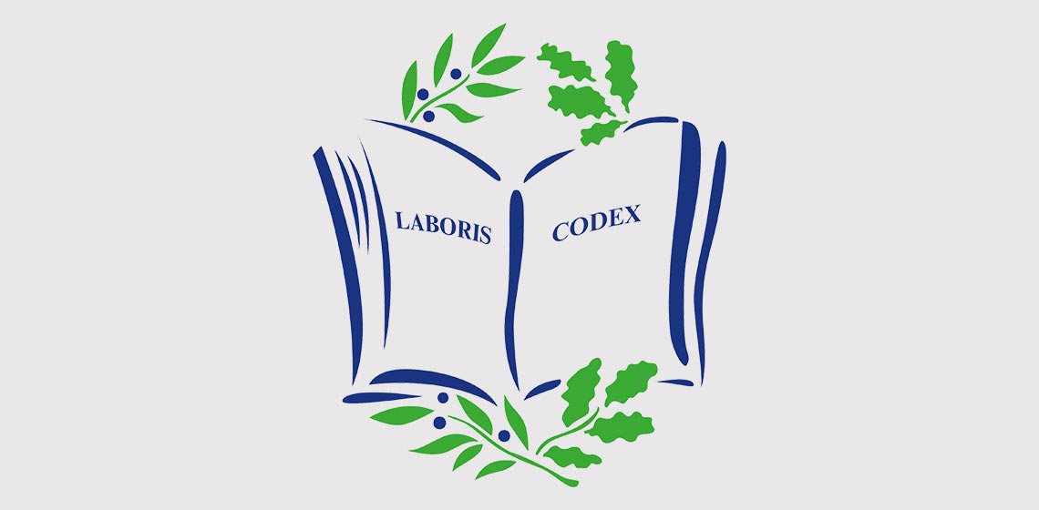 (Immagine decorativa)